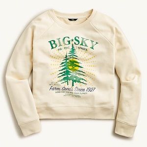 NWT, J.Crew, Big Sky Sweatshirt Size Large